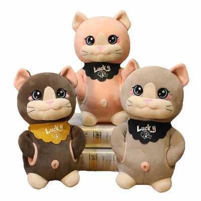 OEM Przyjazna dla skóry 20 cm Zabawka pluszowa dla dzieci Cute Cat